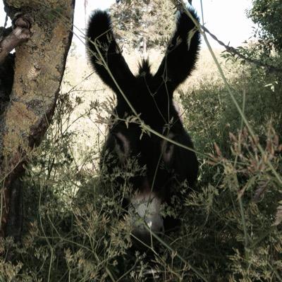 TerrysWineLodge Profile Picture