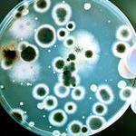 AntibioticResistance (@antibioticresis) 's Twitter Profile Photo