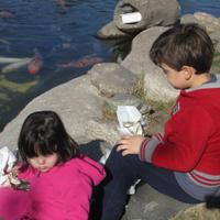 Claudio Mauro (@claudiomauro279) 's Twitter Profile Photo