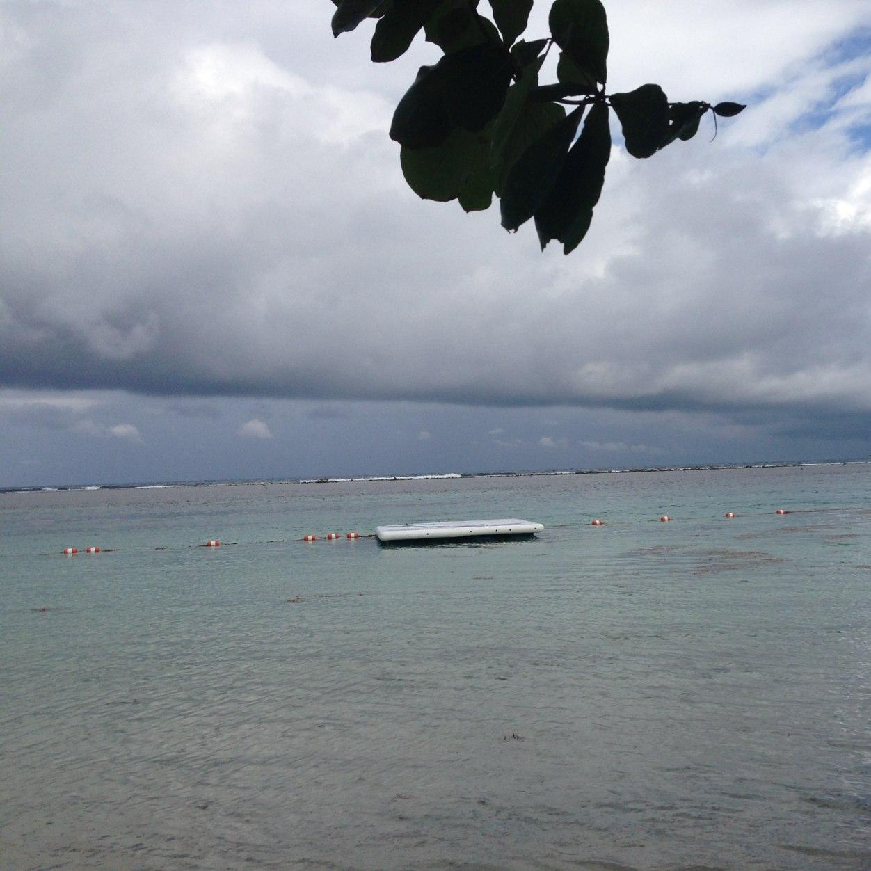 tennille750's profile picture. 