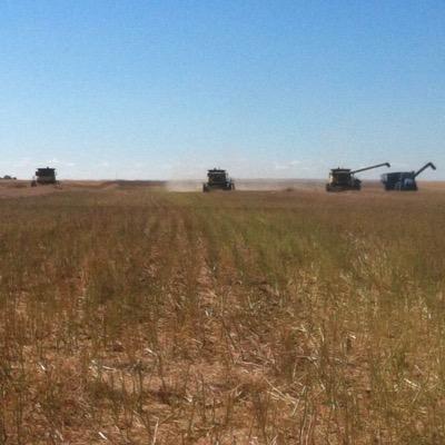 costleyfarms's profile picture. 