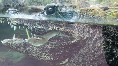 SodiumHydroxide's profile picture. Educator & lover of all things nerdy. Intersectional feminist. My opinions are my own & completely unrelated to the wonderful place that employs me.