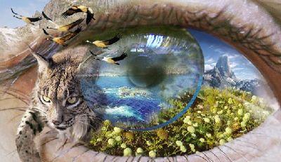 Ciencia y otros temas de actualidad
#ciencia #science