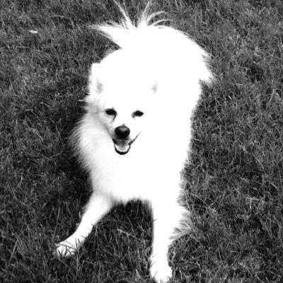 luka_rex's profile picture. 