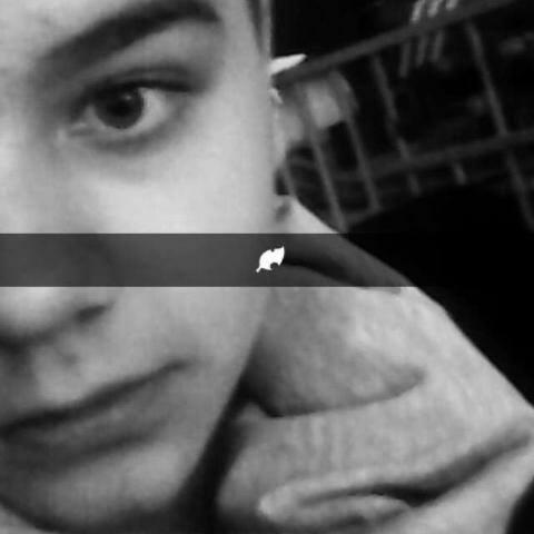 sywardi's profile picture. derp ._.