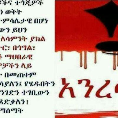 tm_ayesha's profile picture. 