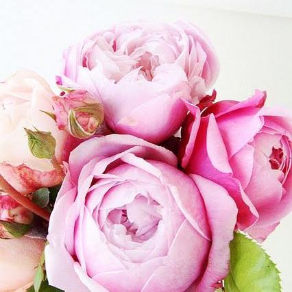 I 'm clay artist and love create #clayflowers from #airdryclay, also I fond of creating #jewelry, so my life full of beauty and I'd like to share it with people