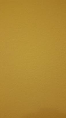 AlexandraKousta's profile picture. 