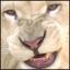 BenjaminAndrews (@benjami85715921) 's Twitter Profile