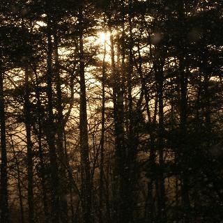 rusticliving101's profile picture. 