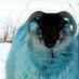 a small blue thing (@blue_sheep) Twitter profile photo