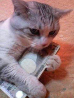 mememe06191's profile picture. 