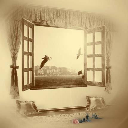 hayatsennesin's profile picture. 