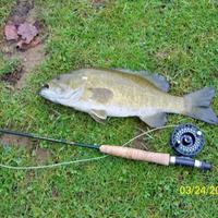 Dr. FlyFisher_AKY (@flyfisher_aky) 's Twitter Profile