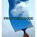 Prop Emeraude (@propemeraude) Twitter profile photo Prop Emeraude (@propemeraude) Twitter profile photo