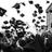 lujain_alsaleh's profile image