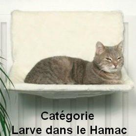 Je ne suis responsable que de ce que j'écris, pas de ce que tu comprends.