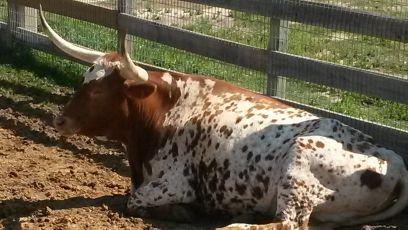 jason_keller20's profile picture. 