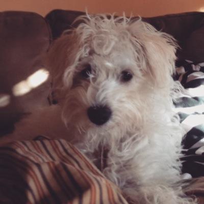 Formejster189's profile picture. 