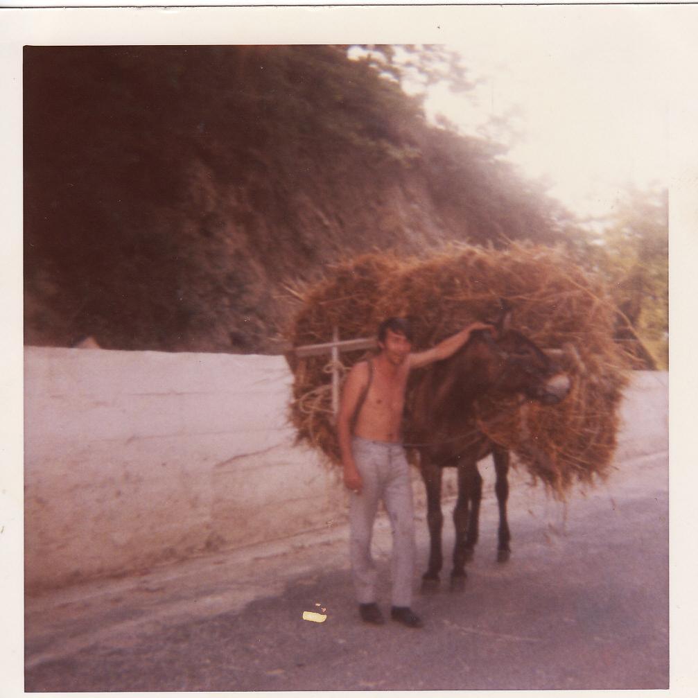 NicolaZaccardi1's profile picture. 