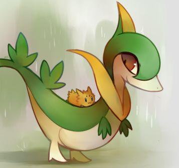 I'm Snivy...youngest ruler of my kingdom...one day I will be queen....(Female, single, wild, Lv.20)