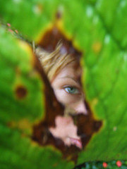 Lykkesmulen's profile picture. 