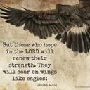 Jacquelyn Wright - @Lynw10Wright - Twitter