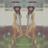 nakeddaisy's profile image