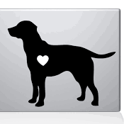 Daughter of God, wife, mom of three and a dog. Special Education teacher and passionate believer.