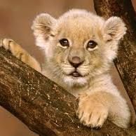 pingame23's profile picture. วันที่ 23 อิอิ วันที่มีคนบอกว่า คบแล้วนา อืมม ก็คบไง