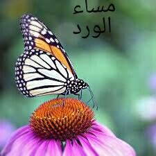 ‏‏جامعة صنعاء