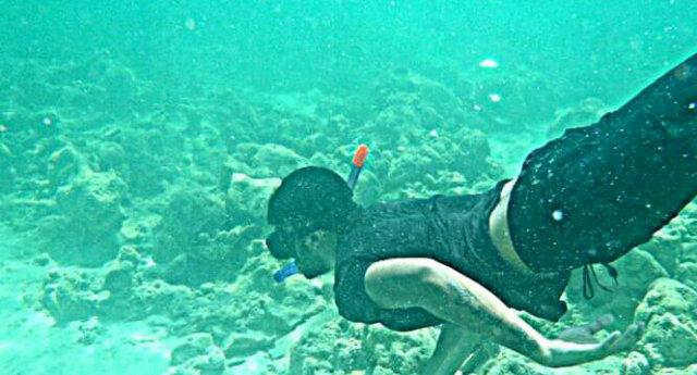 mportugalbah's profile picture. Follow me and self destruct in 5,4,3,2...