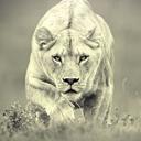 Reggie Washington - @ReggieWashing15 - Twitter