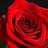 justabutterfly's profile image
