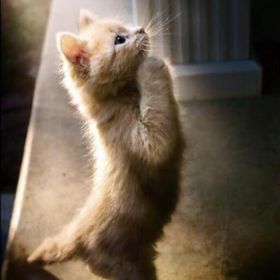 punsuka_tan's profile picture. 