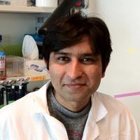 Sachin Kotak (@sachin_mitosis) 's Twitter Profile Photo Sachin Kotak (@sachin_mitosis) 's Twitter Profile Photo