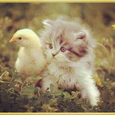 doooha29's profile picture. ‏‏‏‏‏‏‏وأحبك كثر م الجنوب تععشق العرضهہ   و اعشقک كثر م قالوا اهل الجنوب  الله يطعني