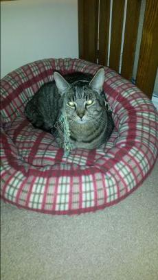 rhianposton's profile picture. 