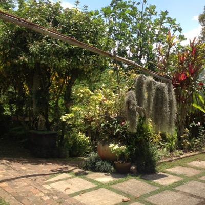 To purvey nature at its best #young gardener, keen to learn new techniques and ideas to do with agri/horticulture and to share the ones I have! #organic