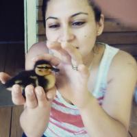 Andrea Conejero G. (@hadafuego) 's Twitter Profile