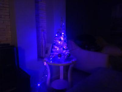 malpica384's profile picture. 