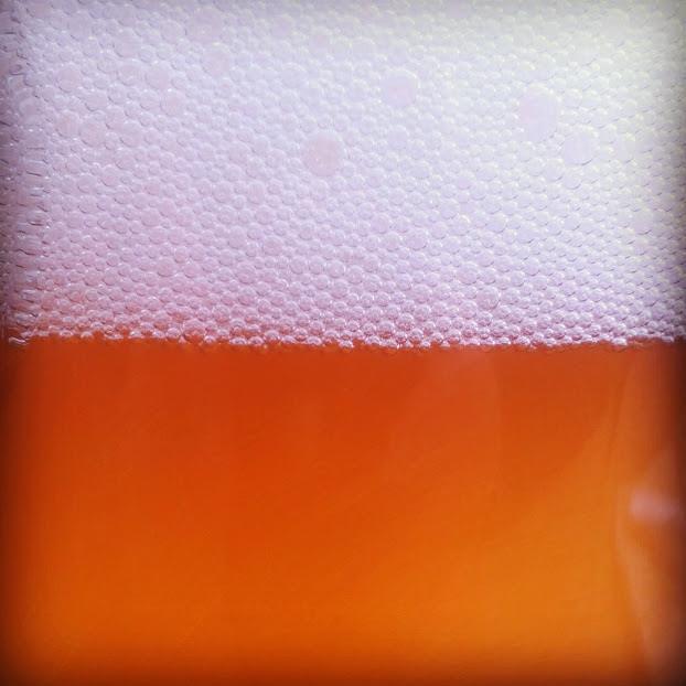 UrbanFarmBrewer's profile picture. Farm Brewery in planing in Brooklyn, New York. Must be 21+ to follow.