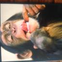 Lynne Sumner - @smilerkitty007 - Twitter