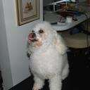 HAROLD HILGENBERG - @MAGGIE34HAROLD - Twitter