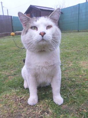 bagarrou's profile picture. 