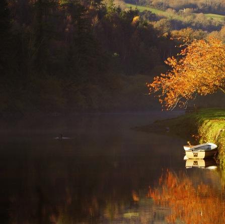 nadineodo's profile picture. 