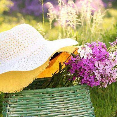 AMnb876's profile picture. 