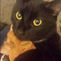 Tim White (@sirtimwhite) 's Twitter Profile Photo