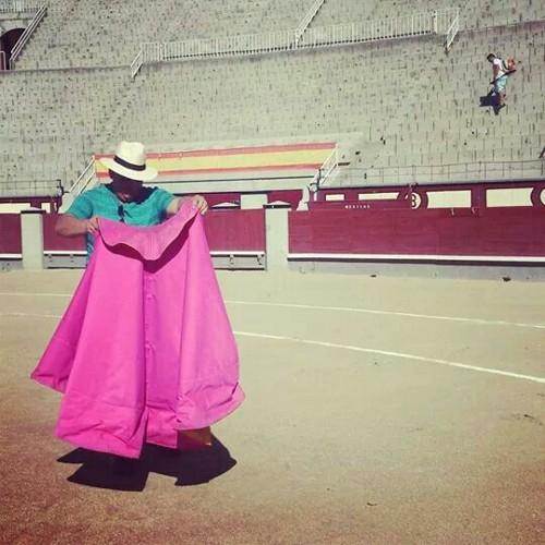 Taurino hasta la Muerte. Amante de los Bravos Toros de Lidia, con trapio, bravura y casta.
