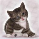 سما (@0011001b60) Twitter